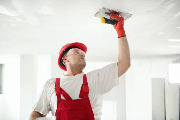 Best Mold Odor Removal Services  in Gallatin, MO