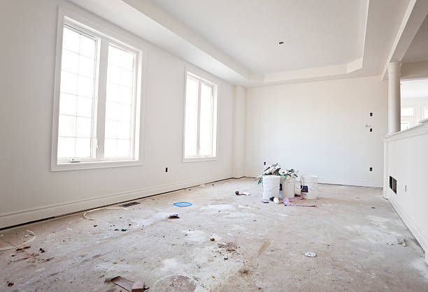 Best Basement Mold Removal  in Gallatin, MO